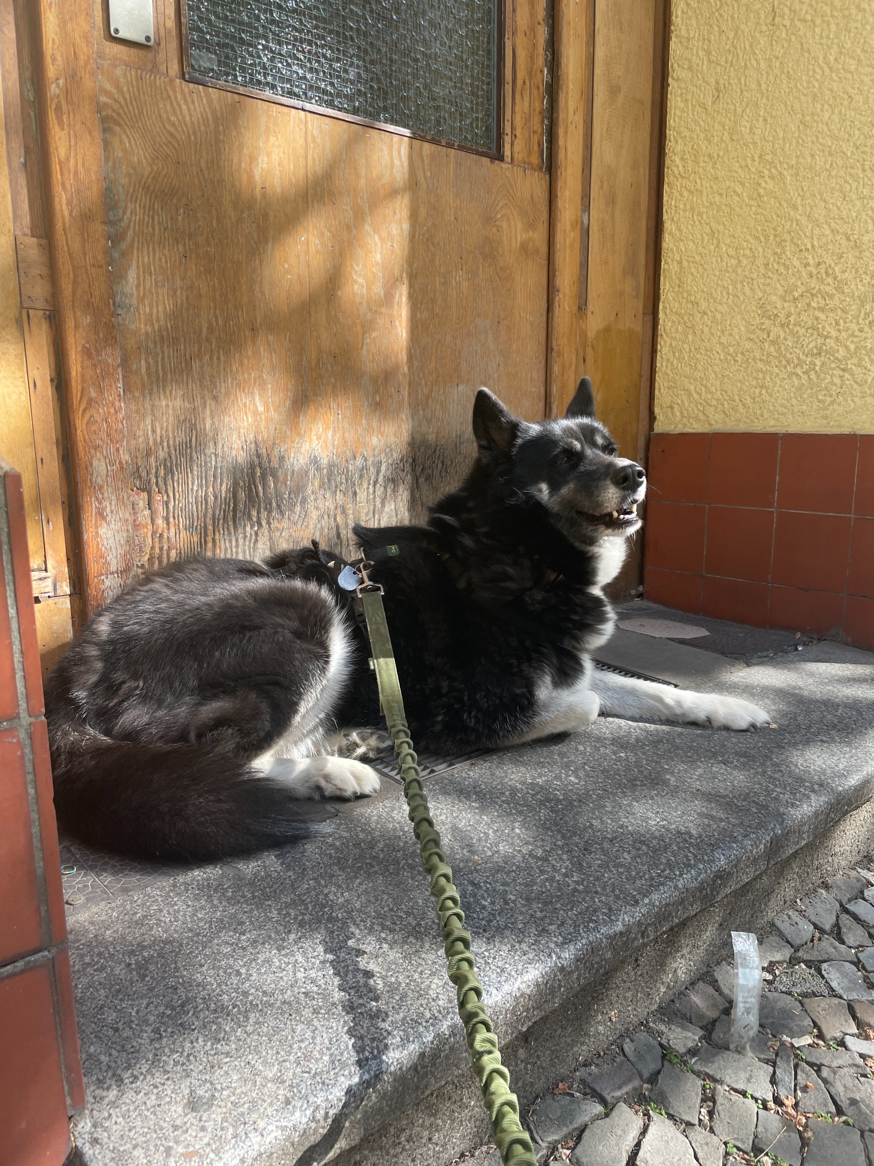 image-5