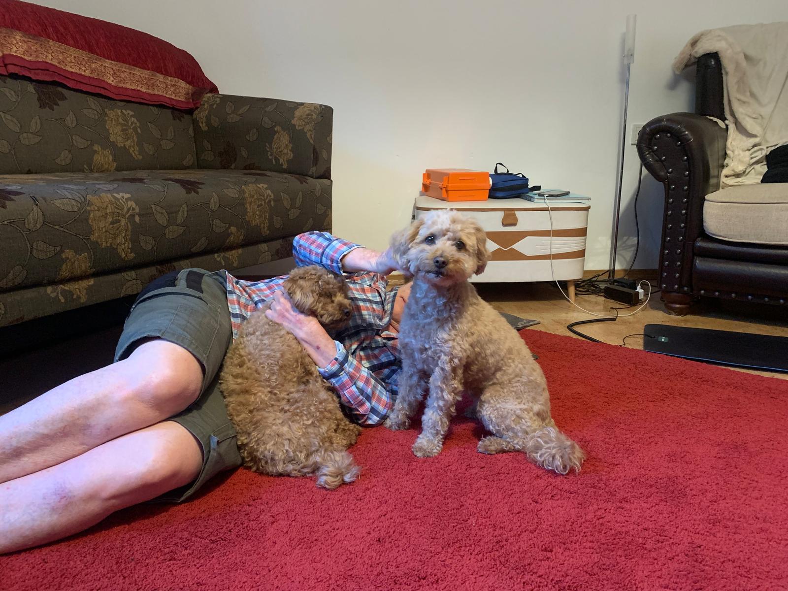 image-12