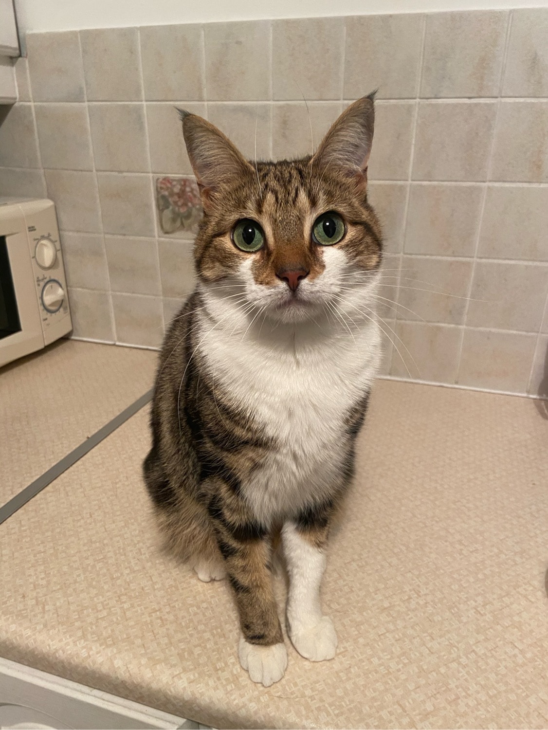 image-20