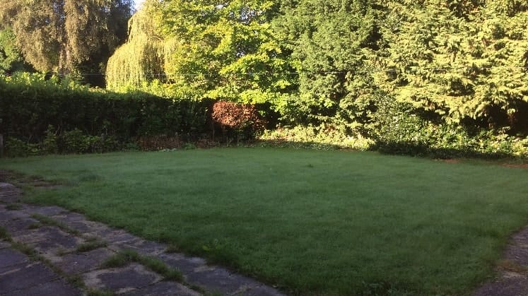 image-3