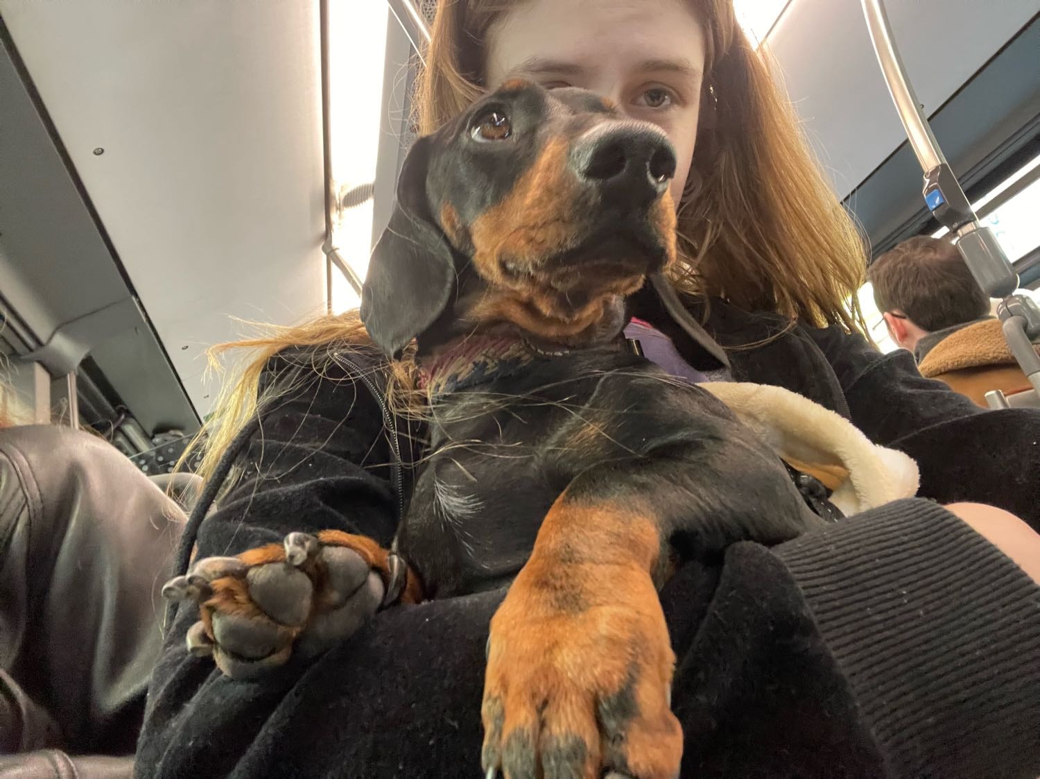 image-6