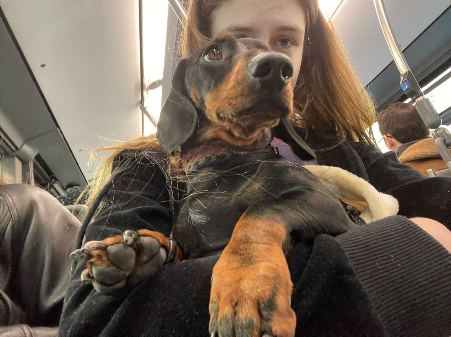 image-6