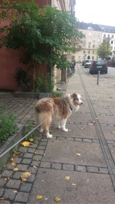 image-17