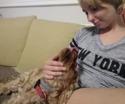image-8