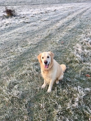 image-6