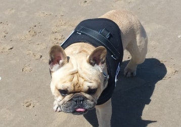 Milo