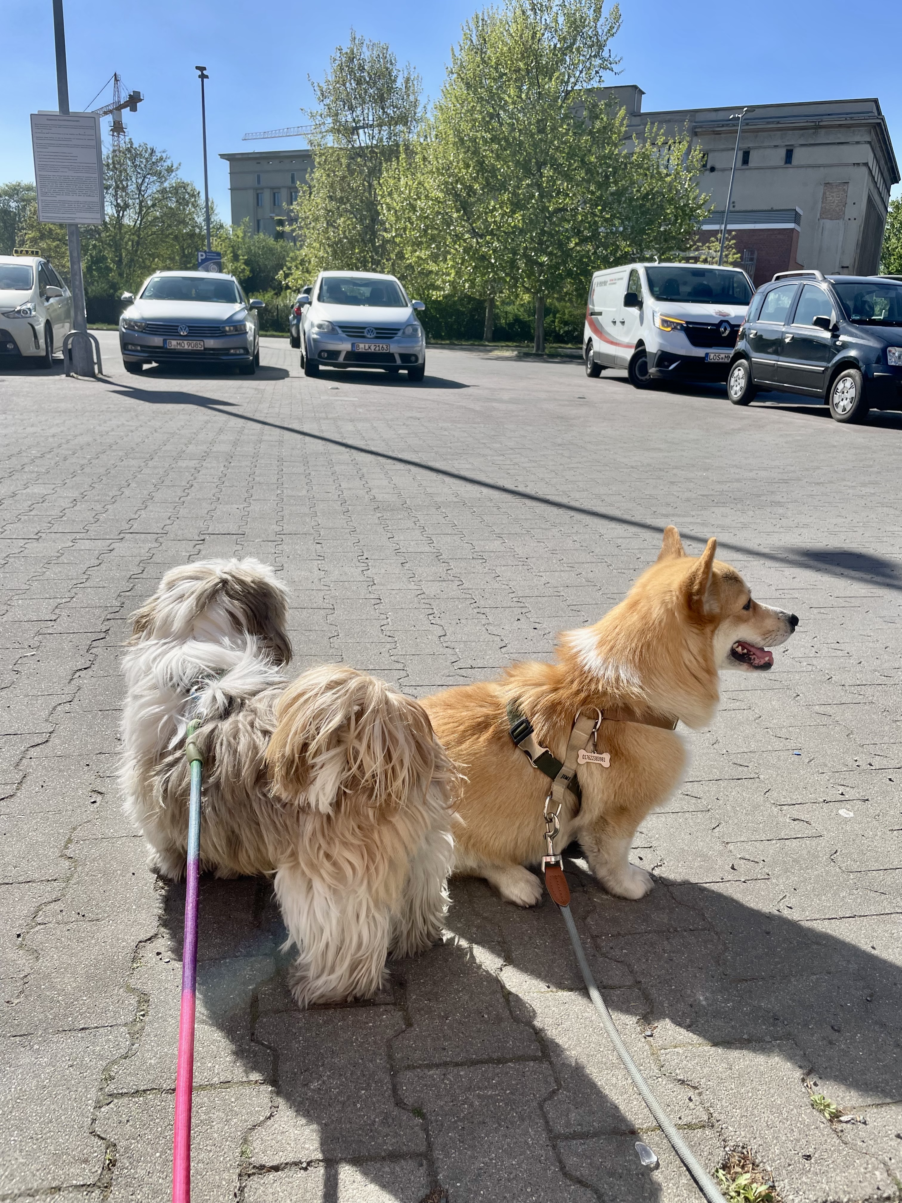 image-17