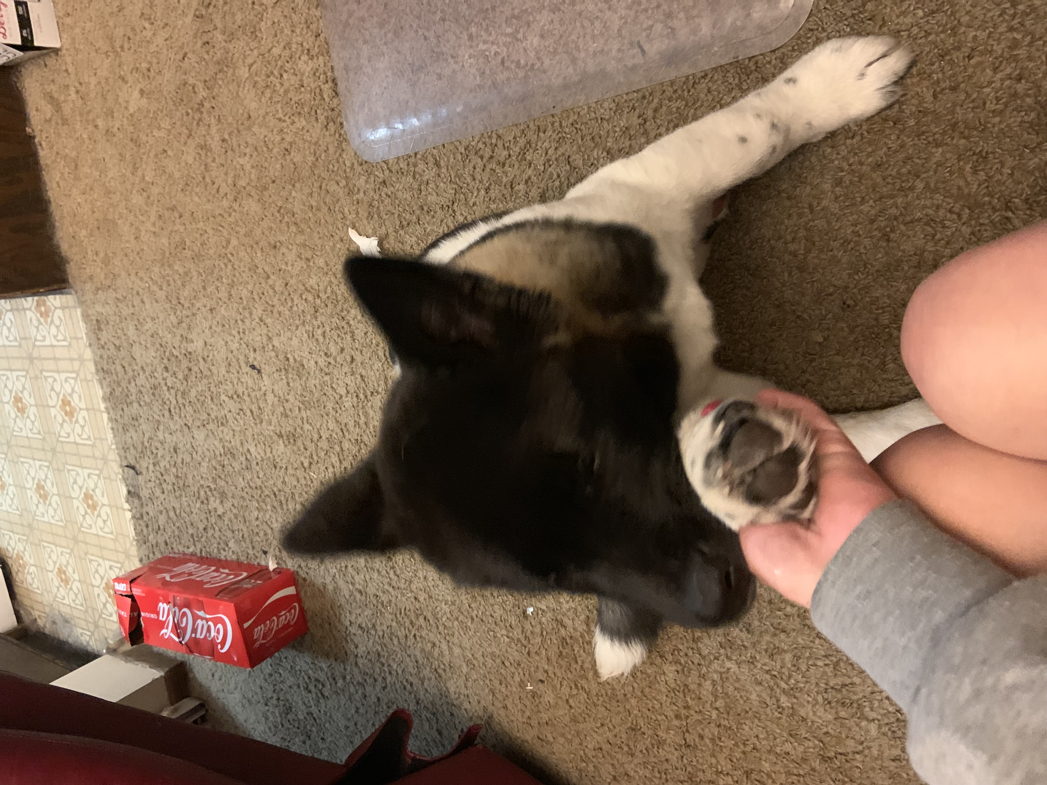 image-10