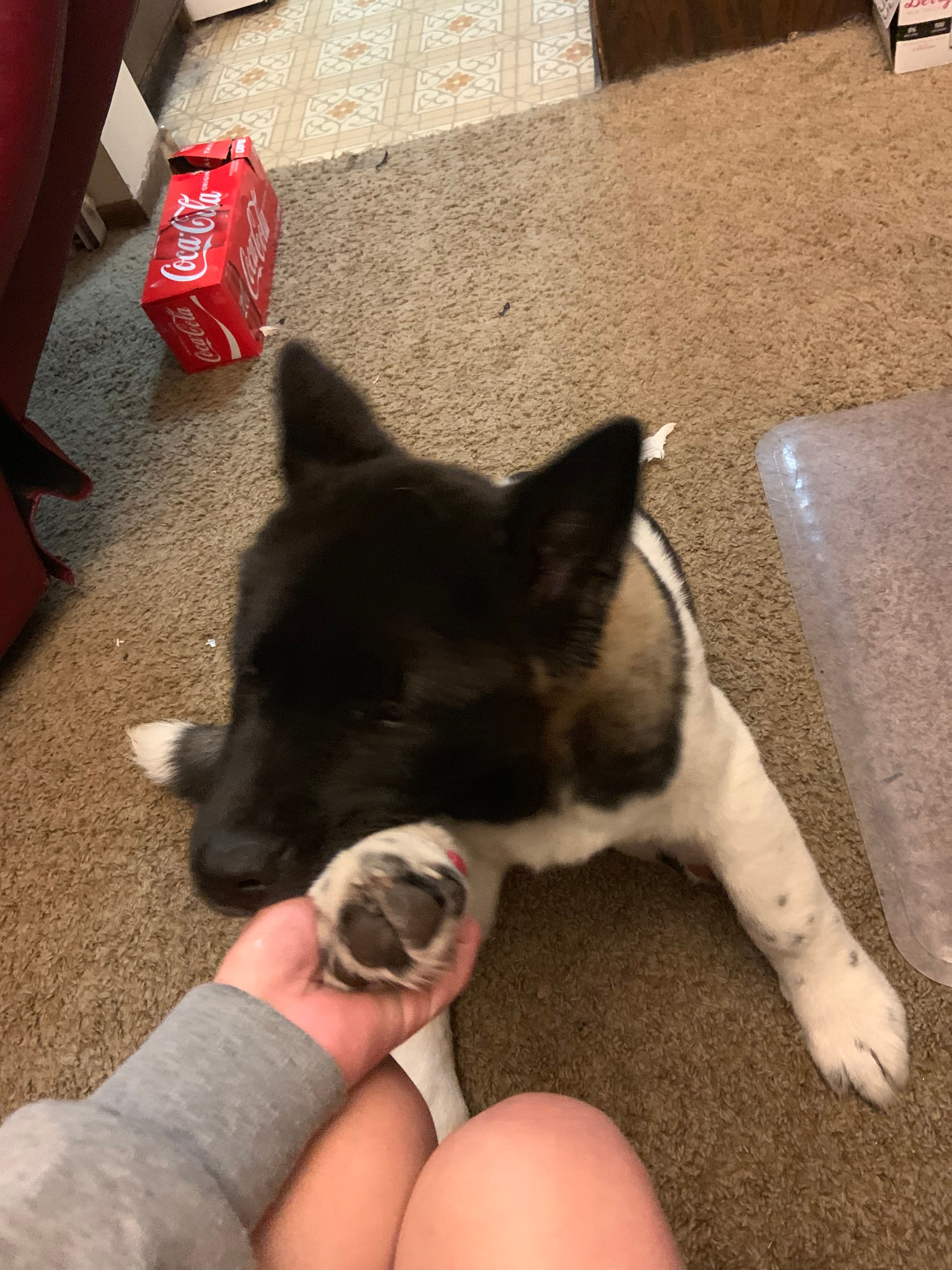 image-10