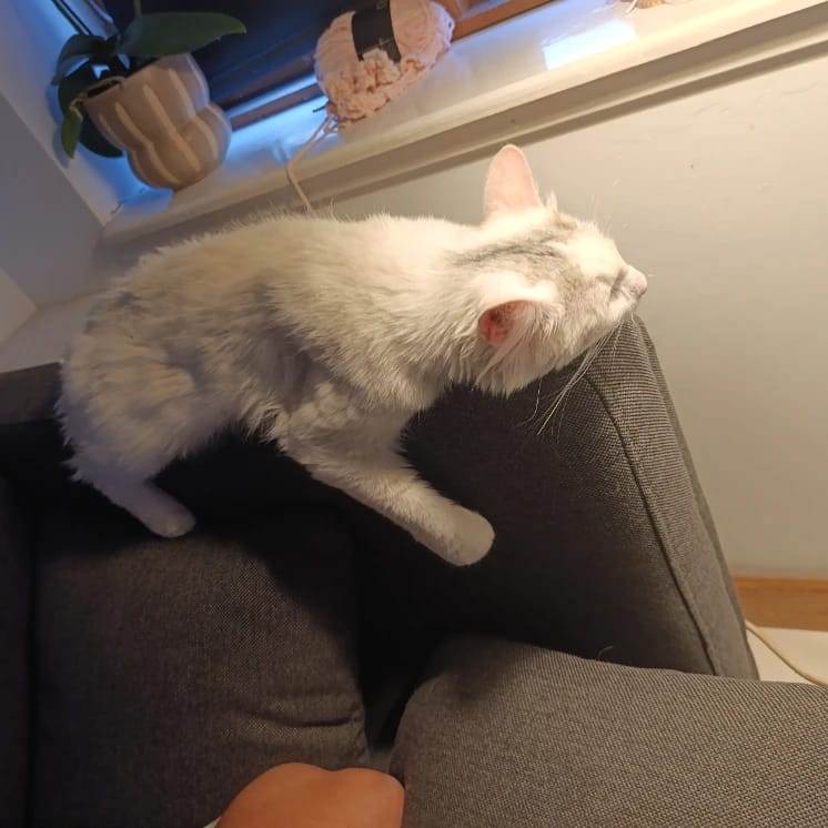 Ella