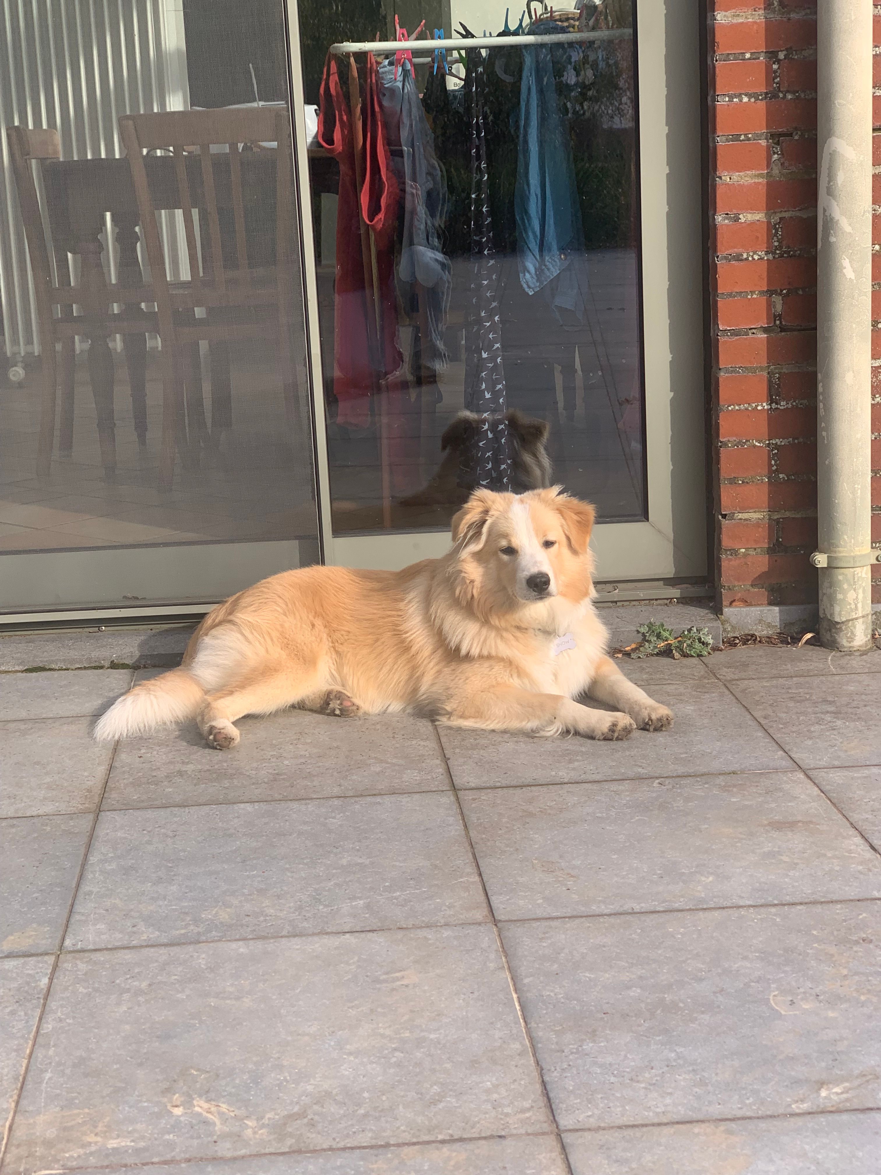 image-12