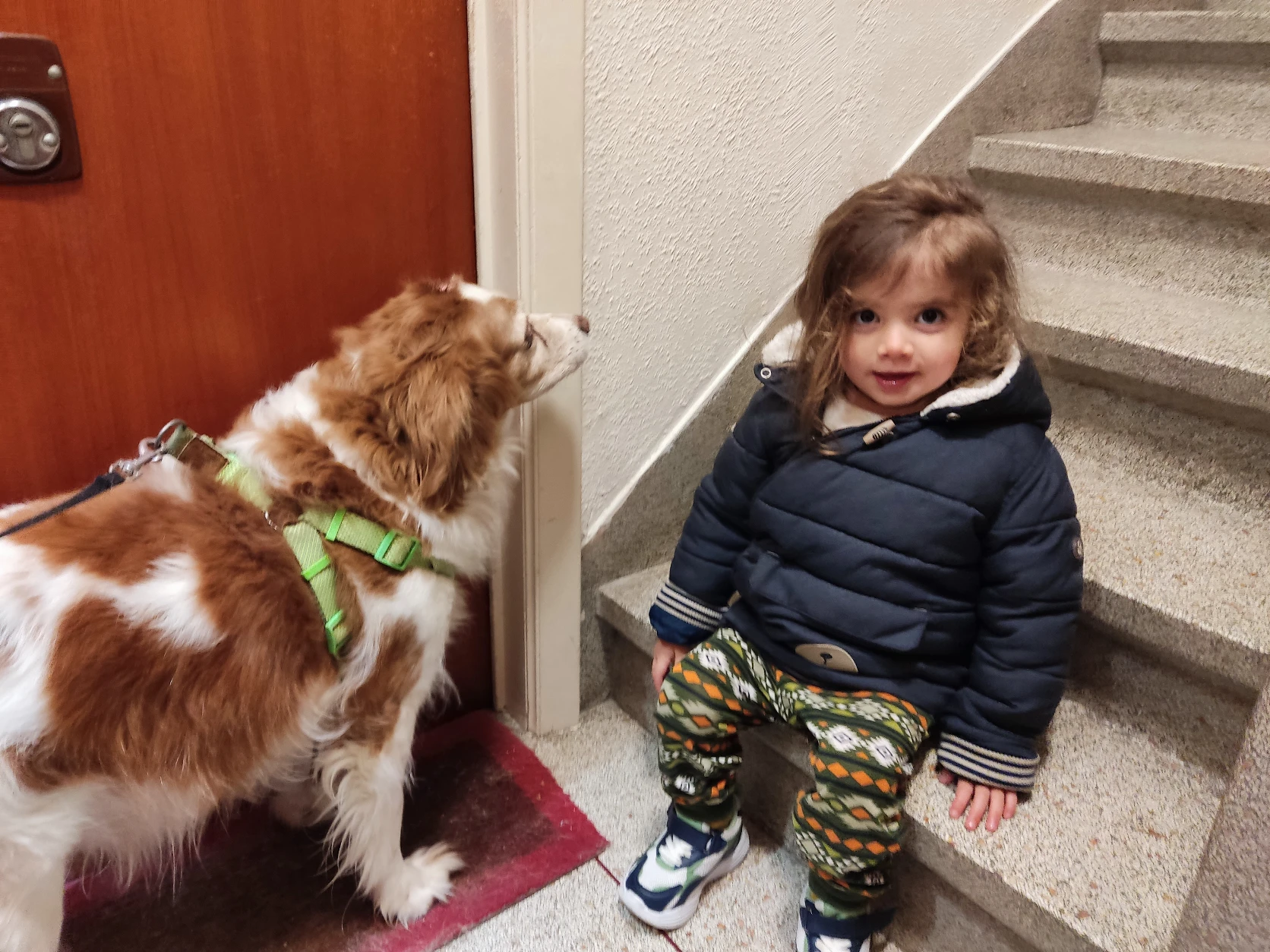 image-6