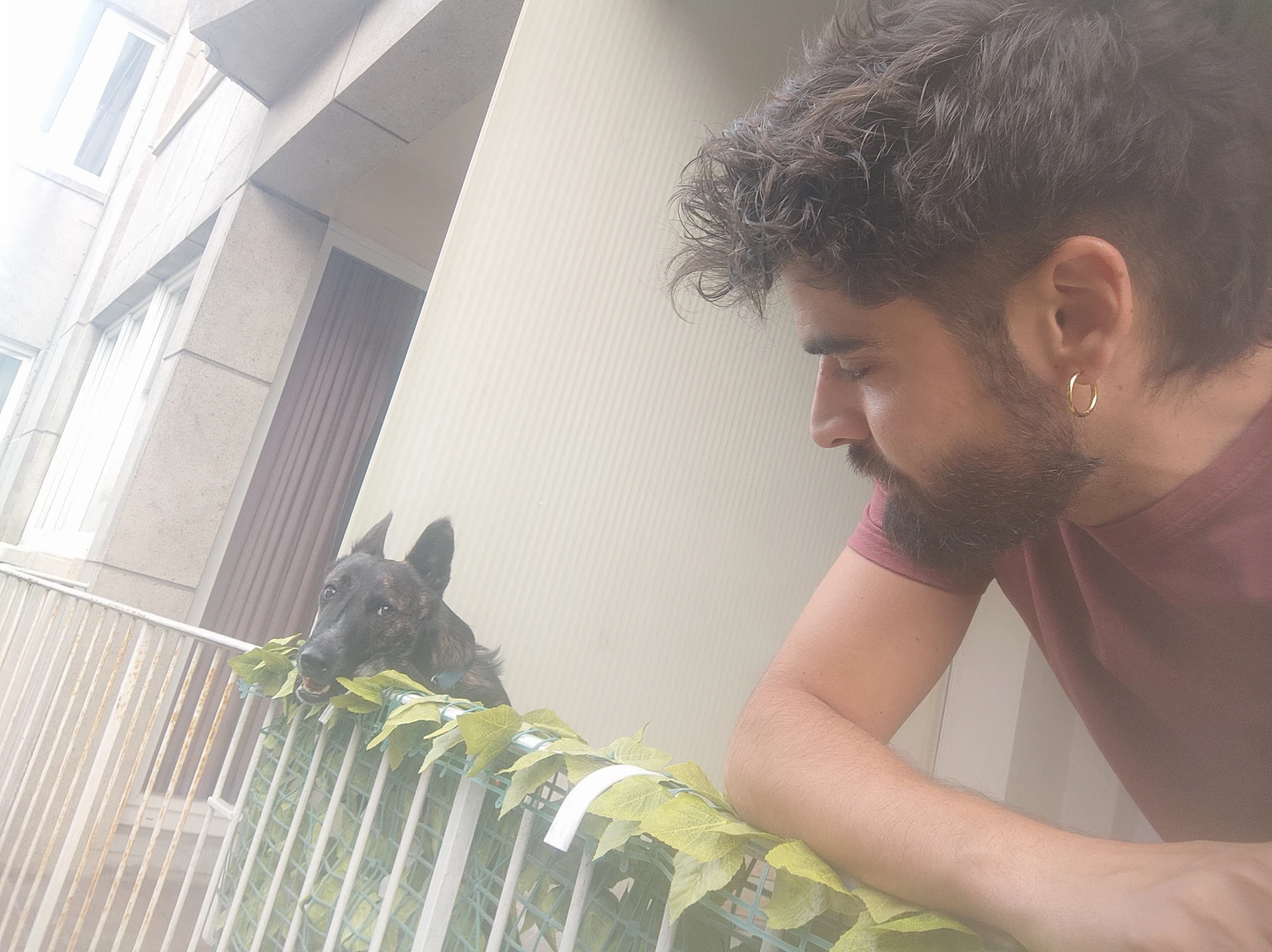 image-7