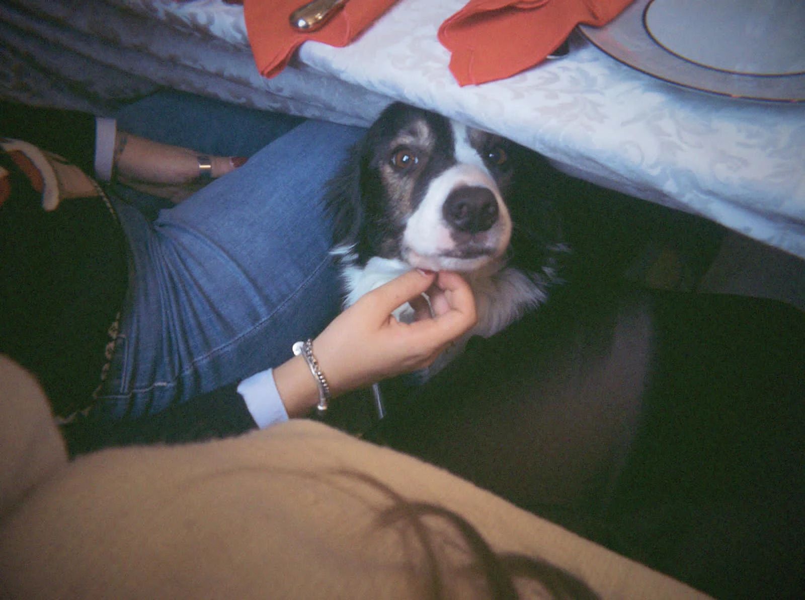 image-5