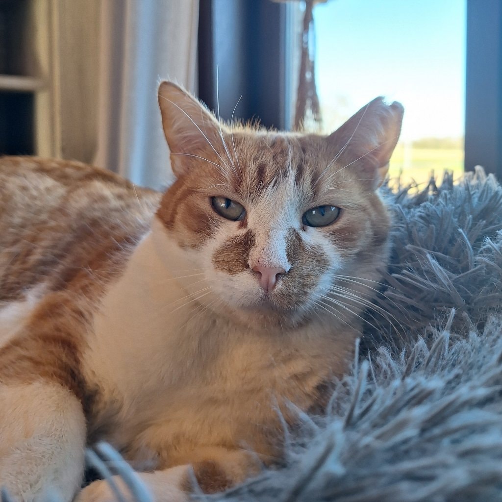Trevor
