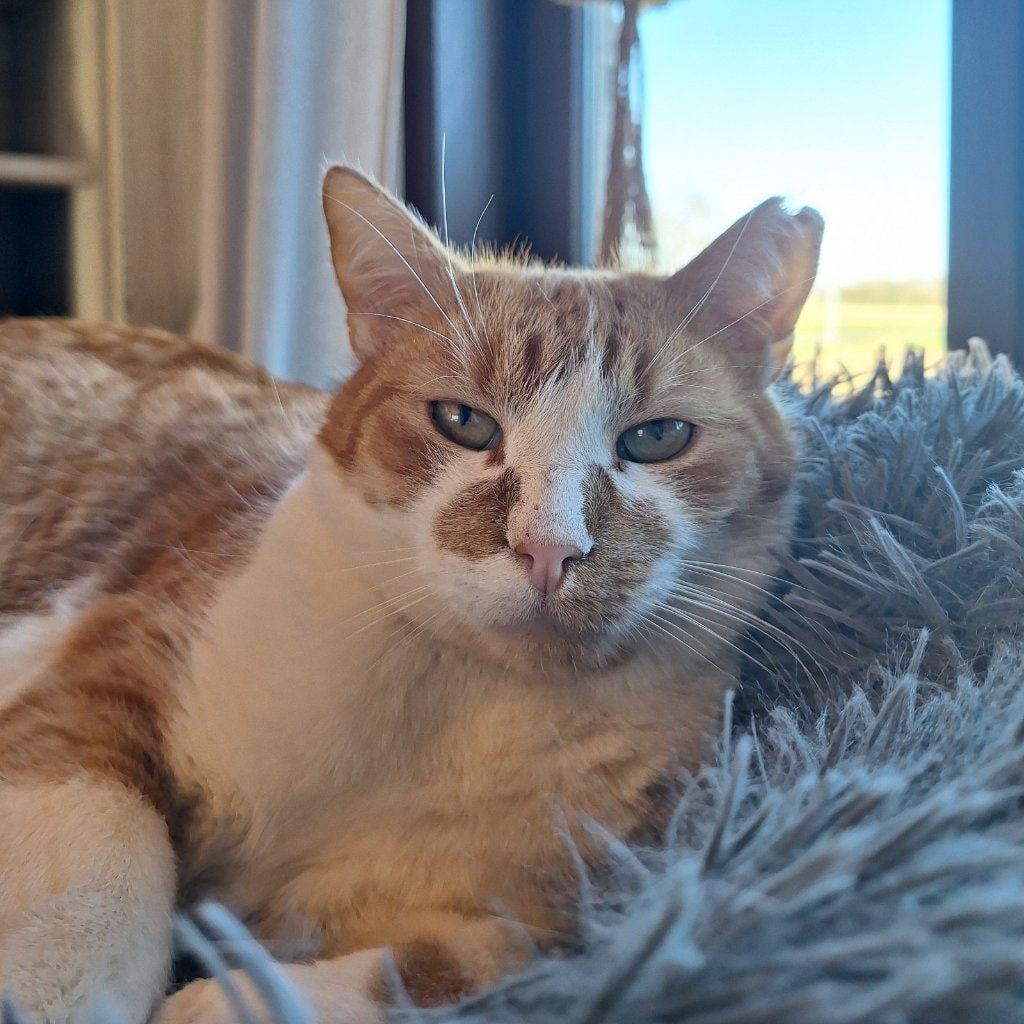 Trevor