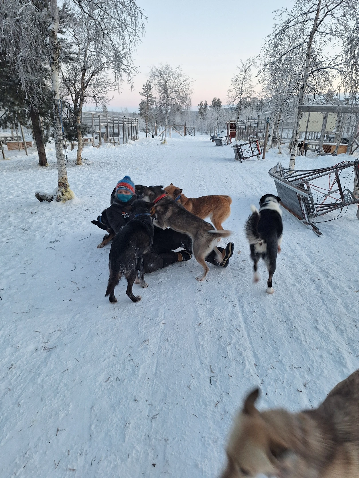 image-27
