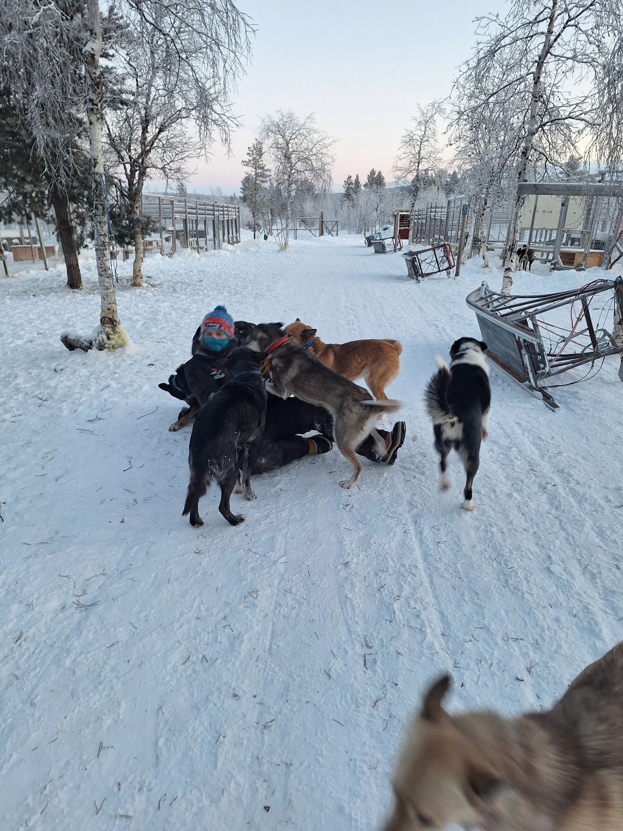 image-27