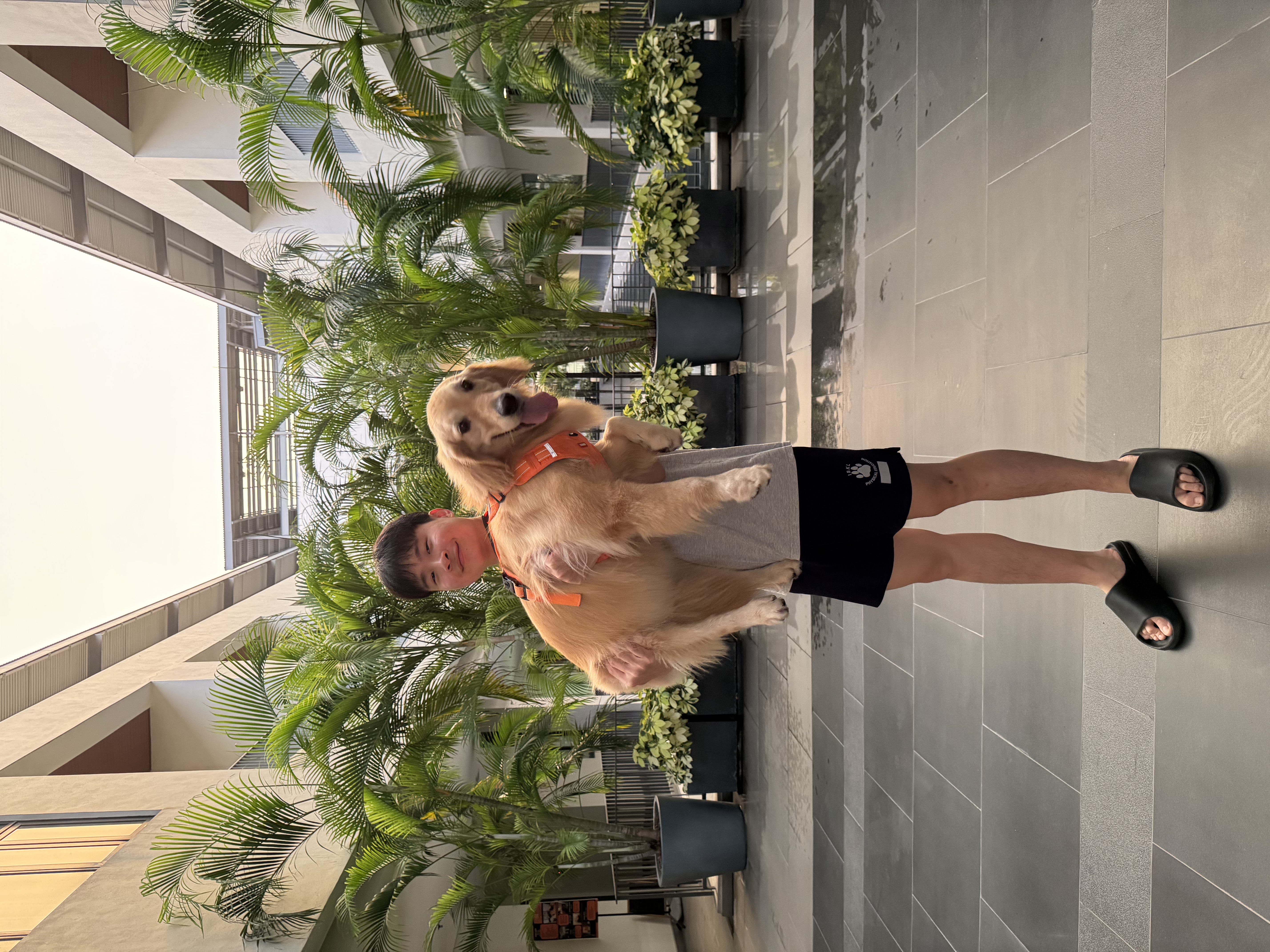 image-4