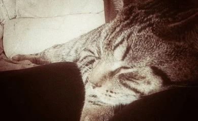image-5