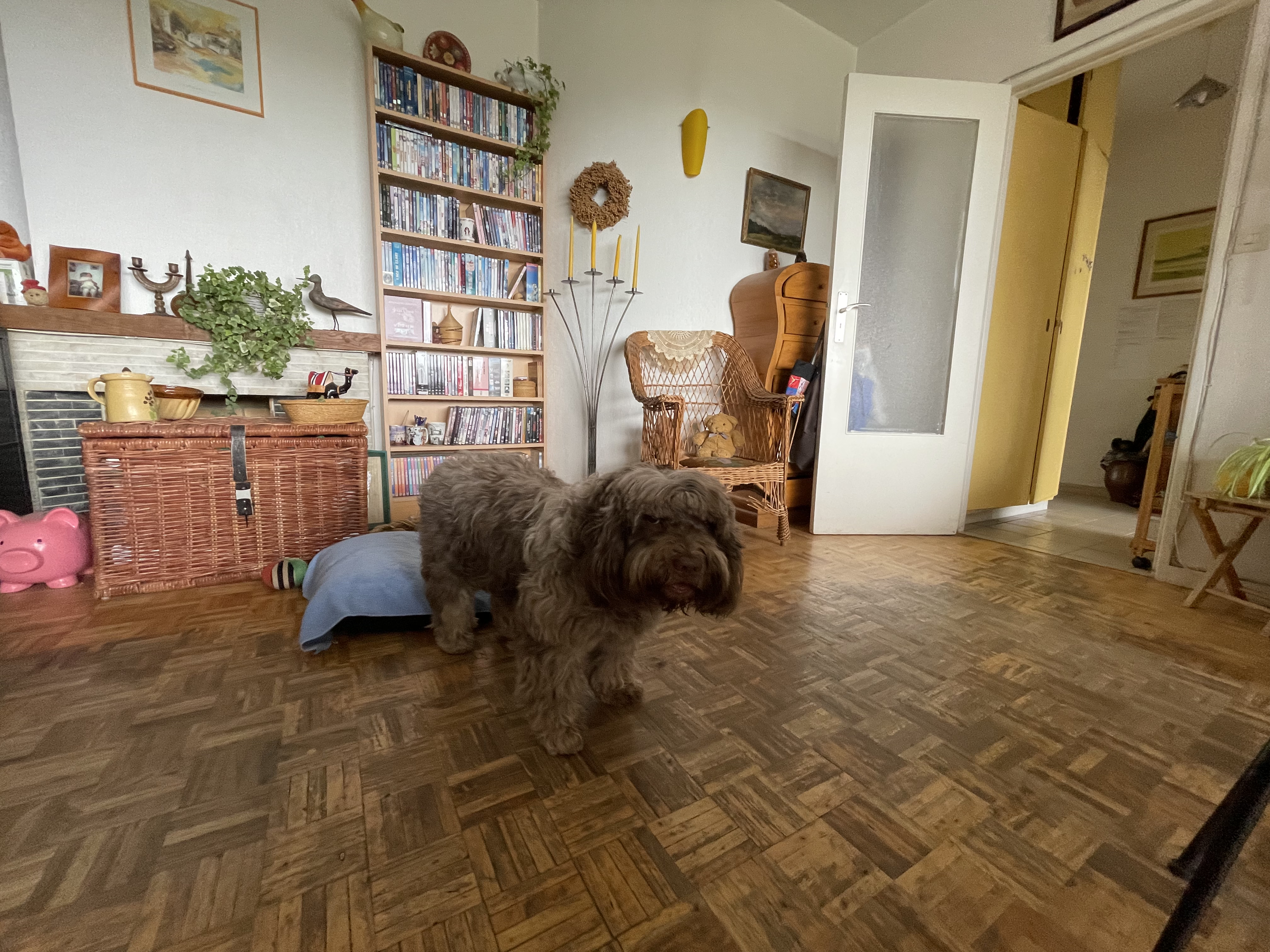 image-21