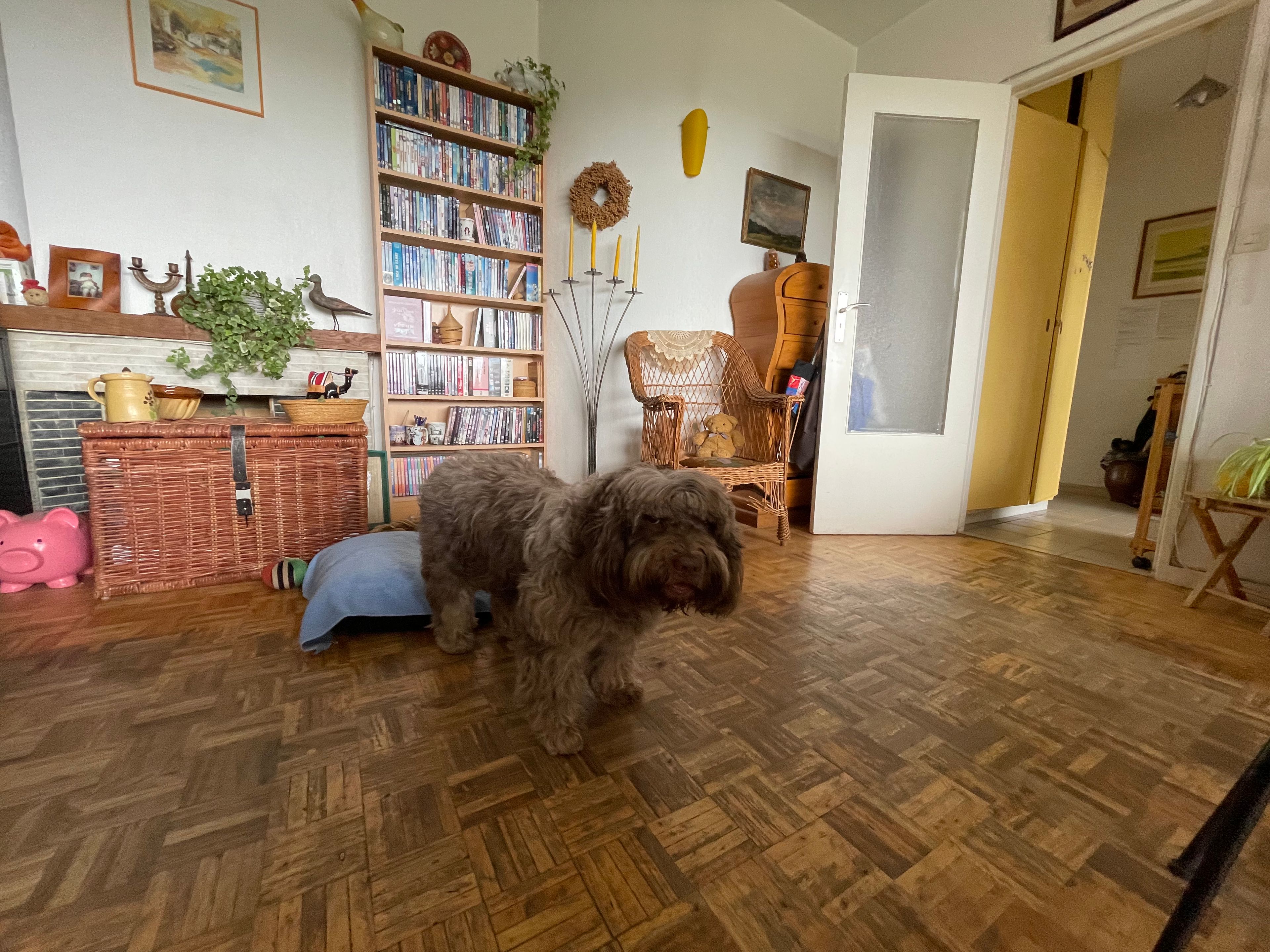 image-21