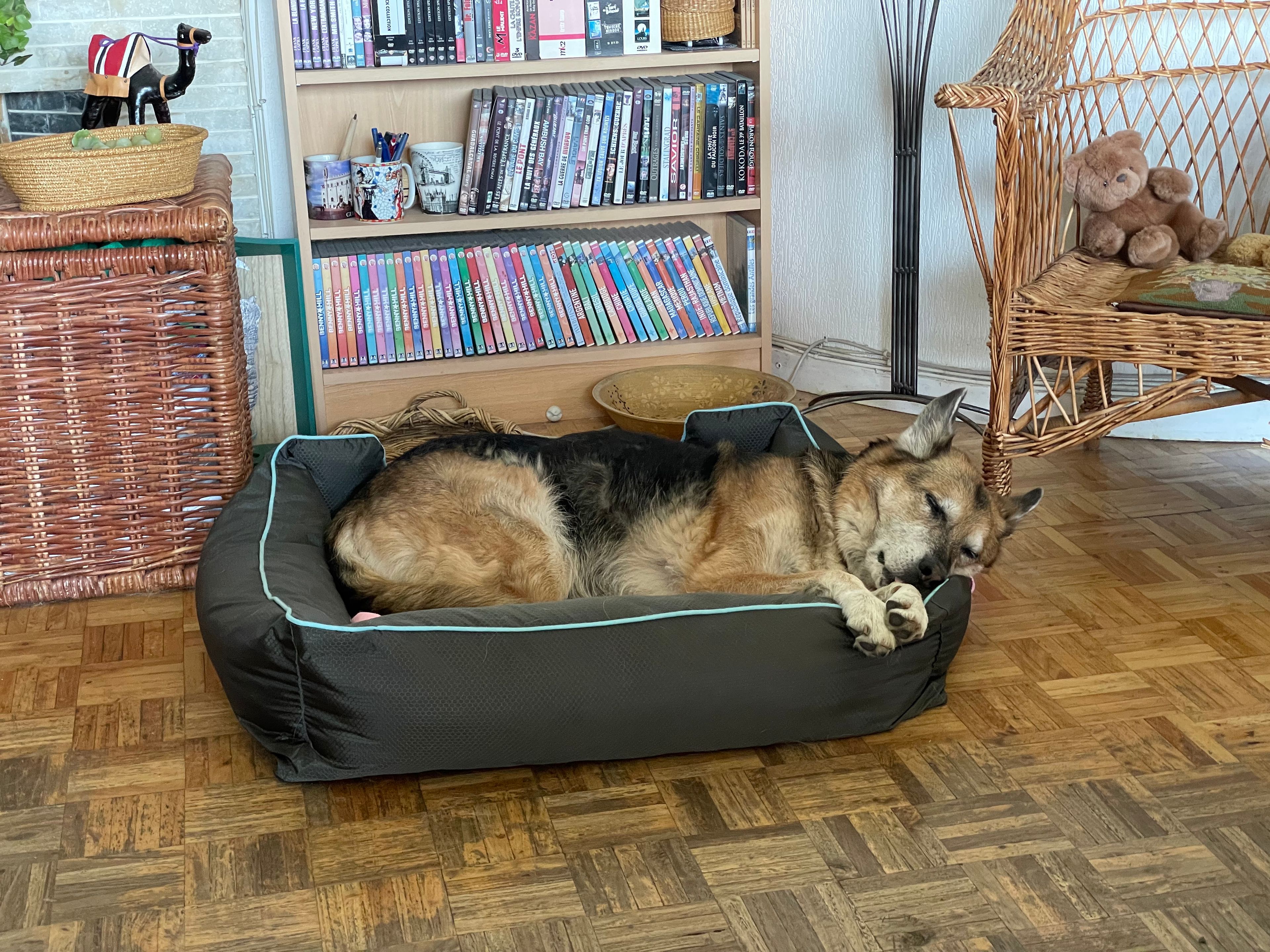 image-17