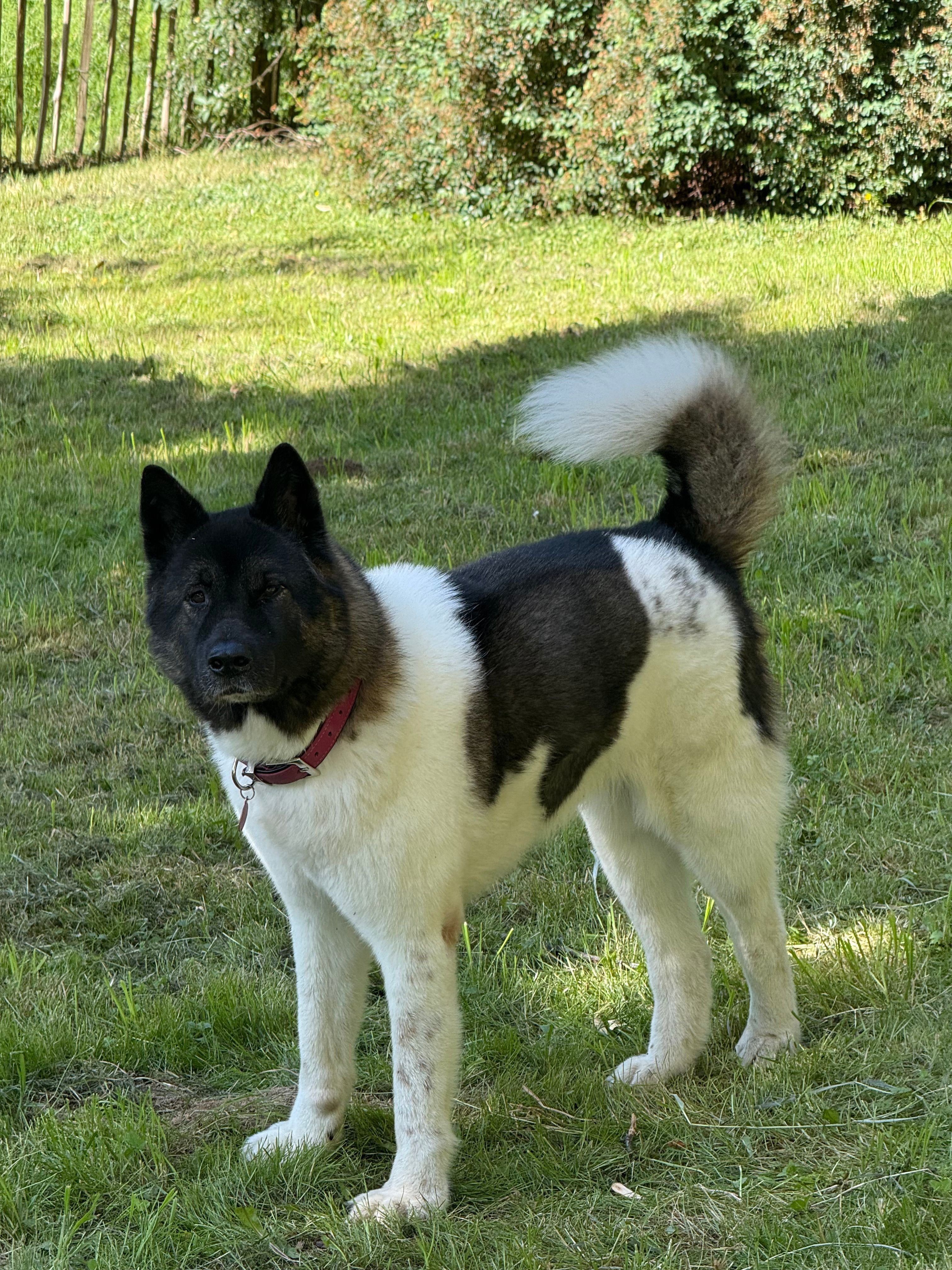 image-26