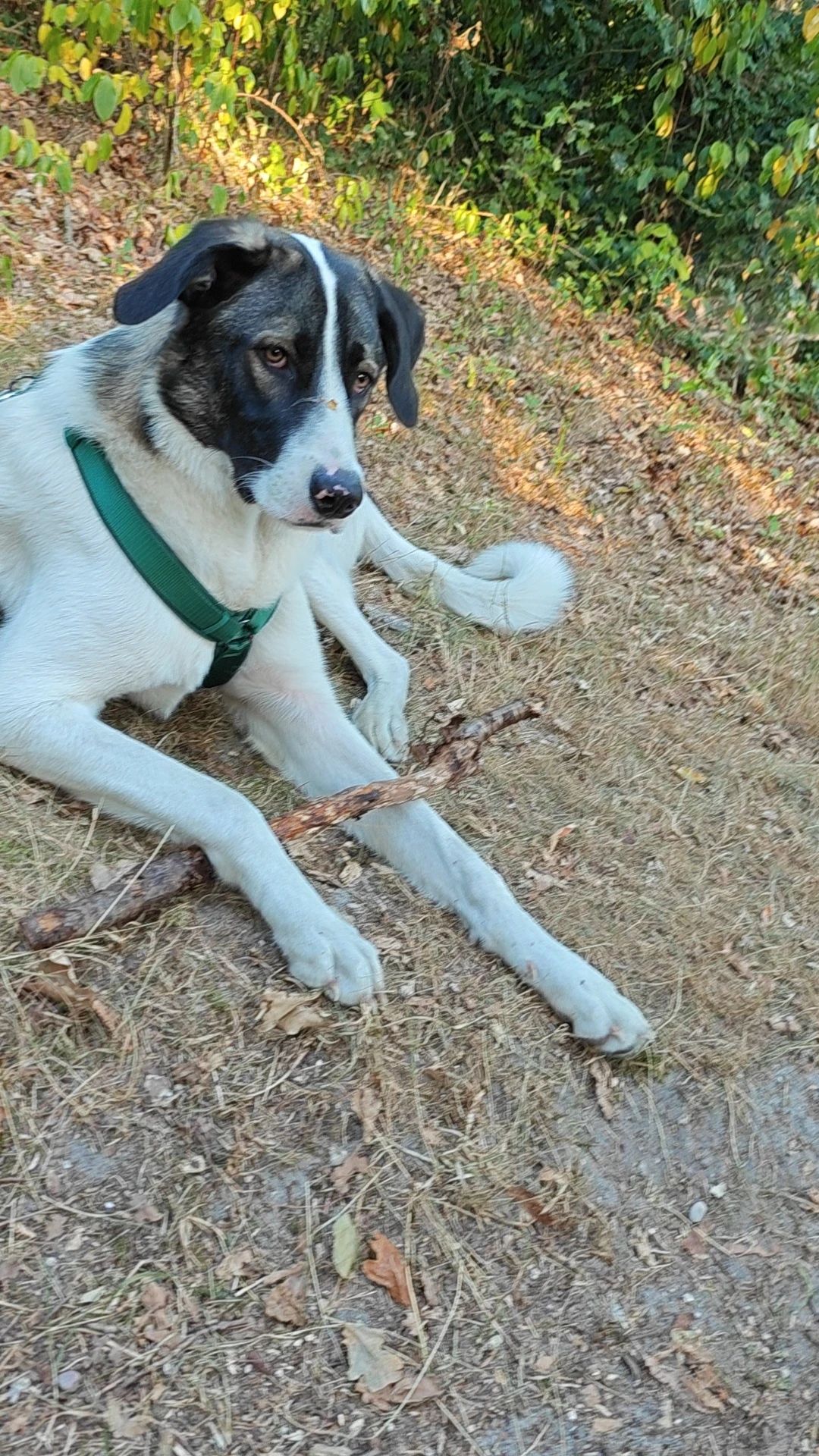 image-7