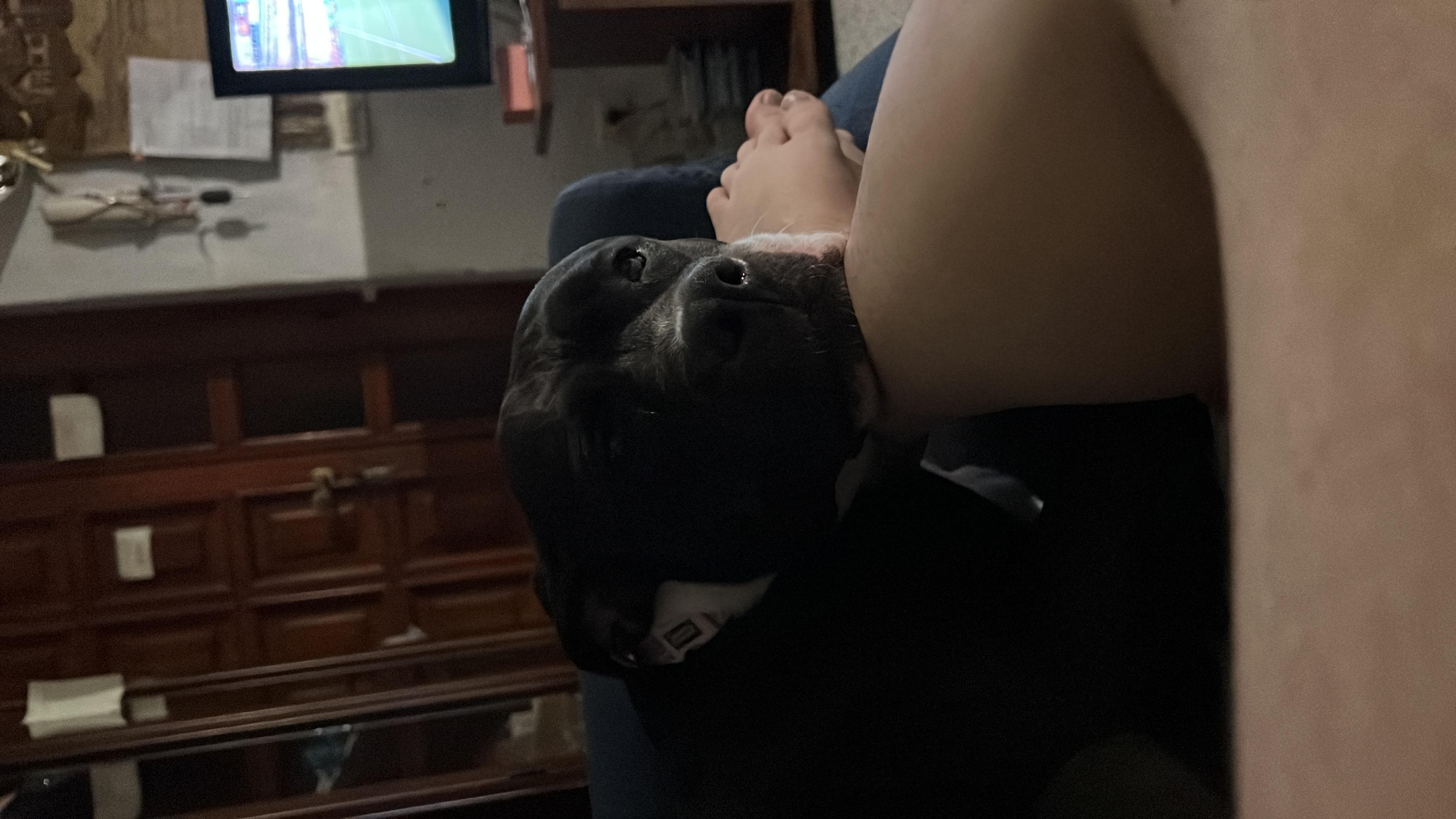 image-6
