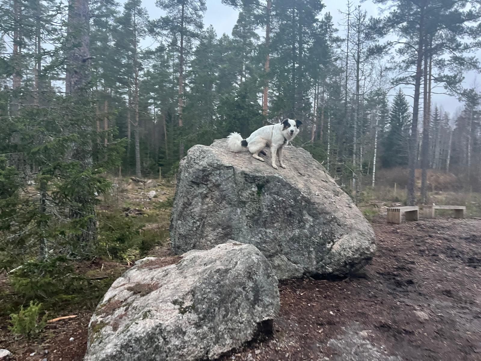 image-6