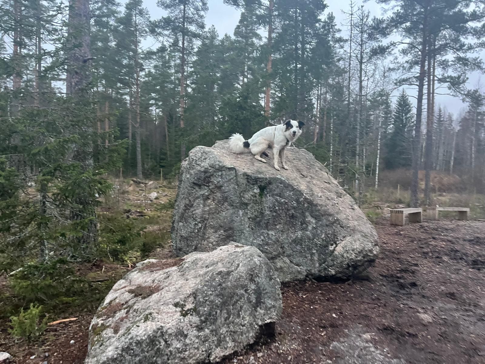 image-6