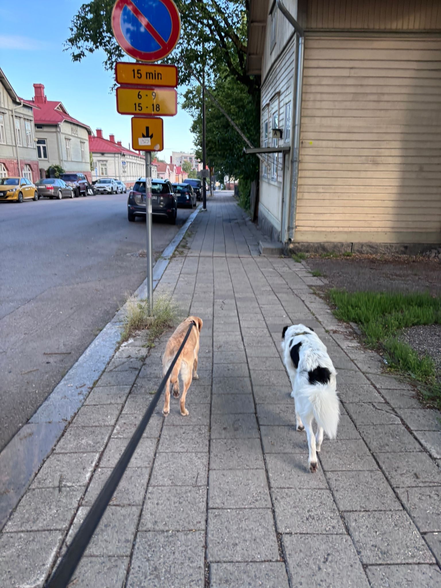 image-19