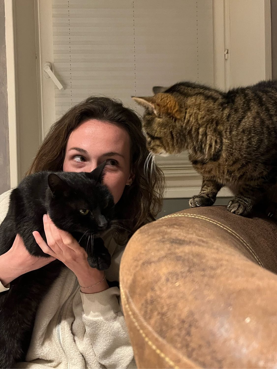 image-15