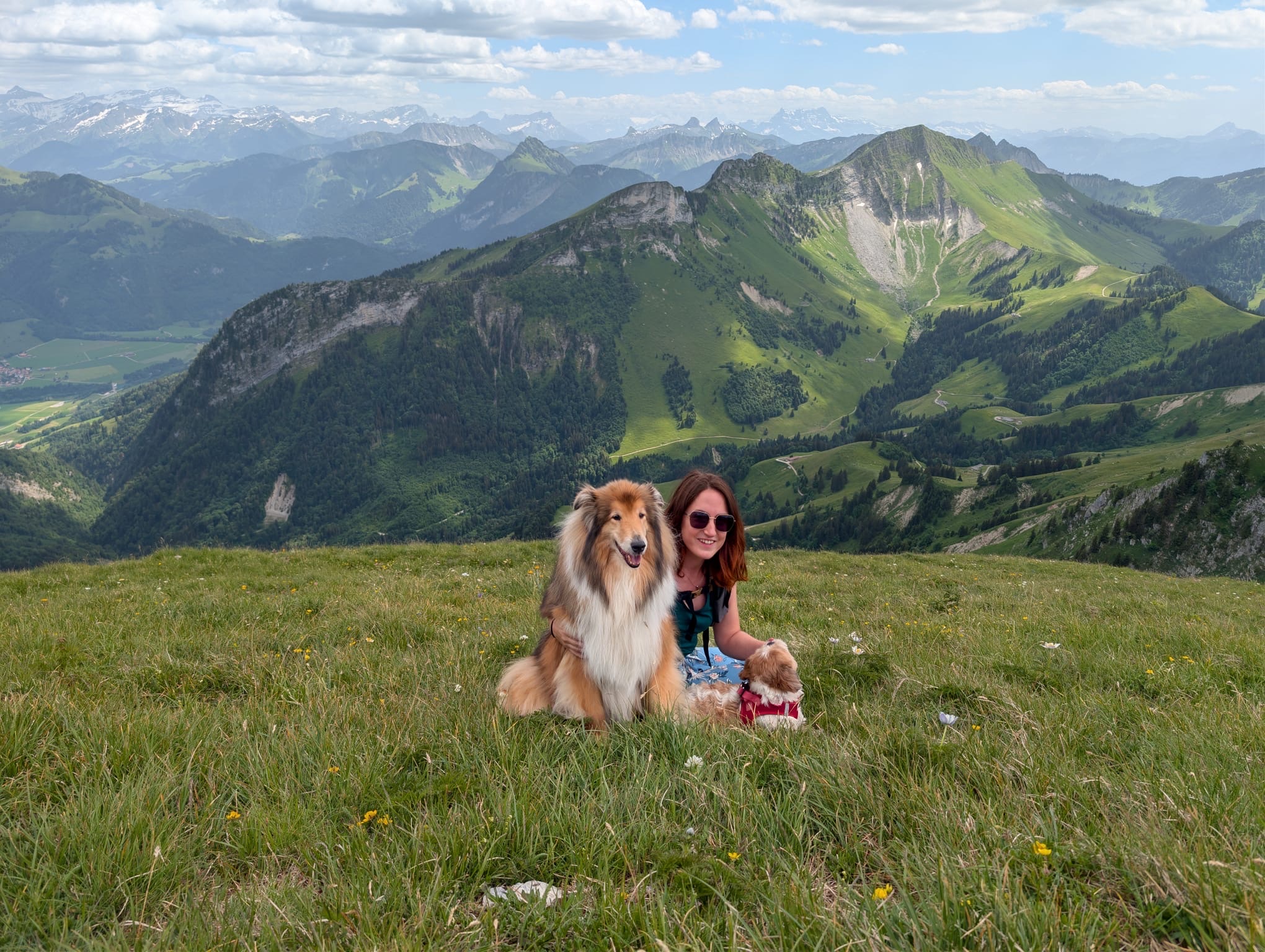 image-4
