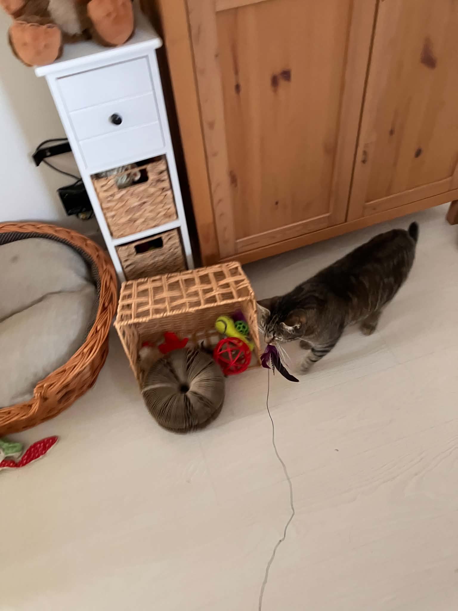 image-13