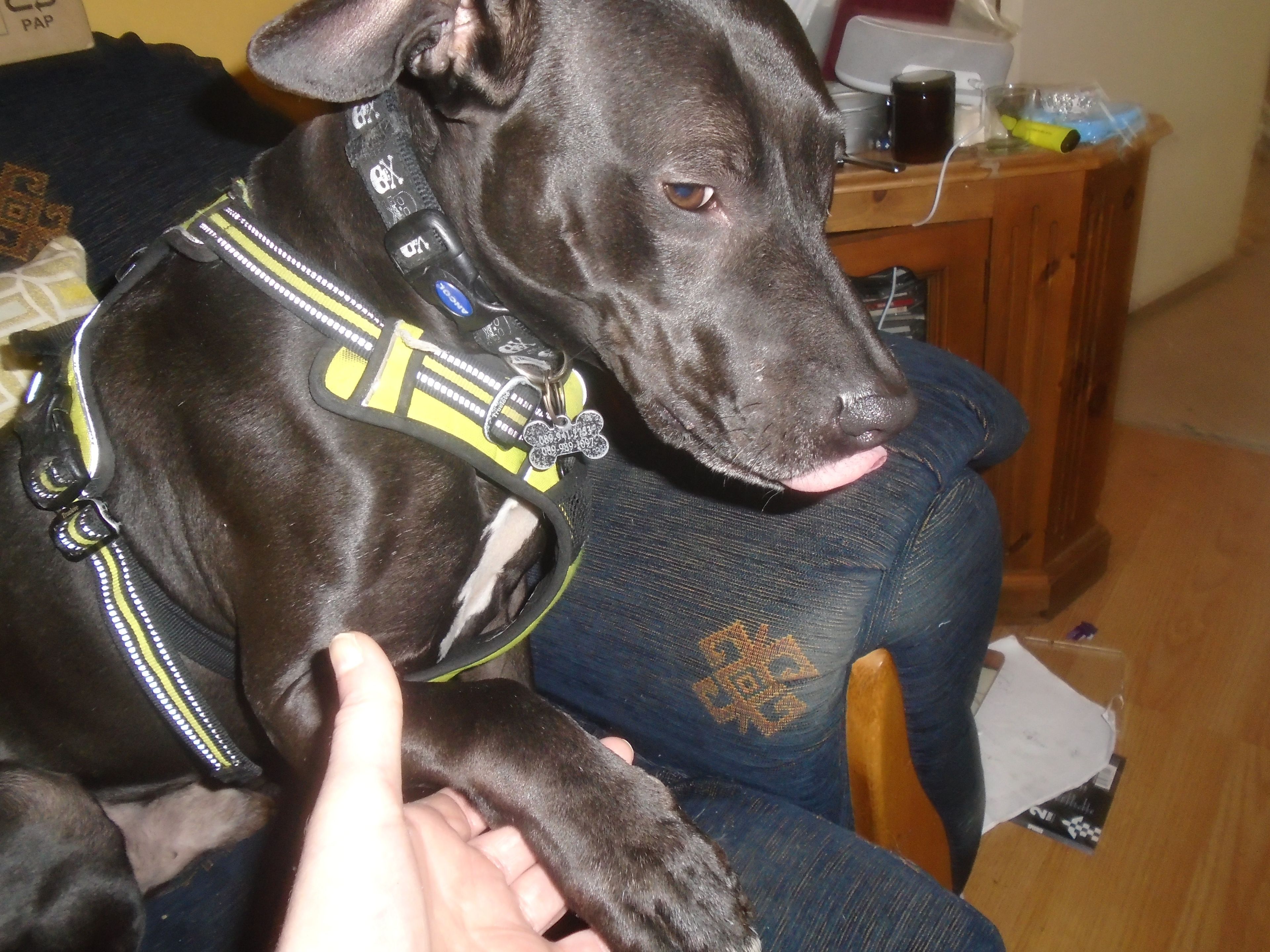 image-8