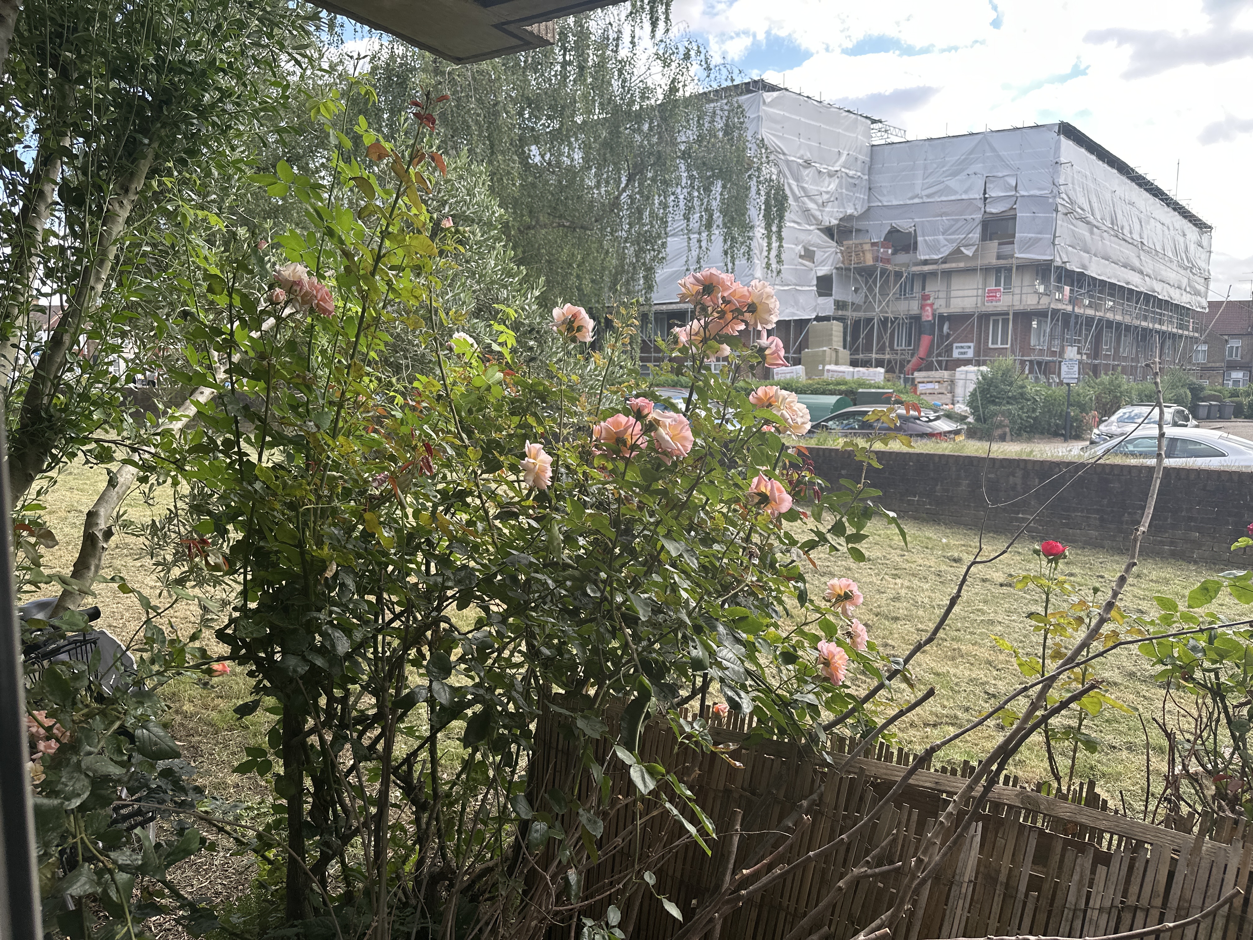 image-17