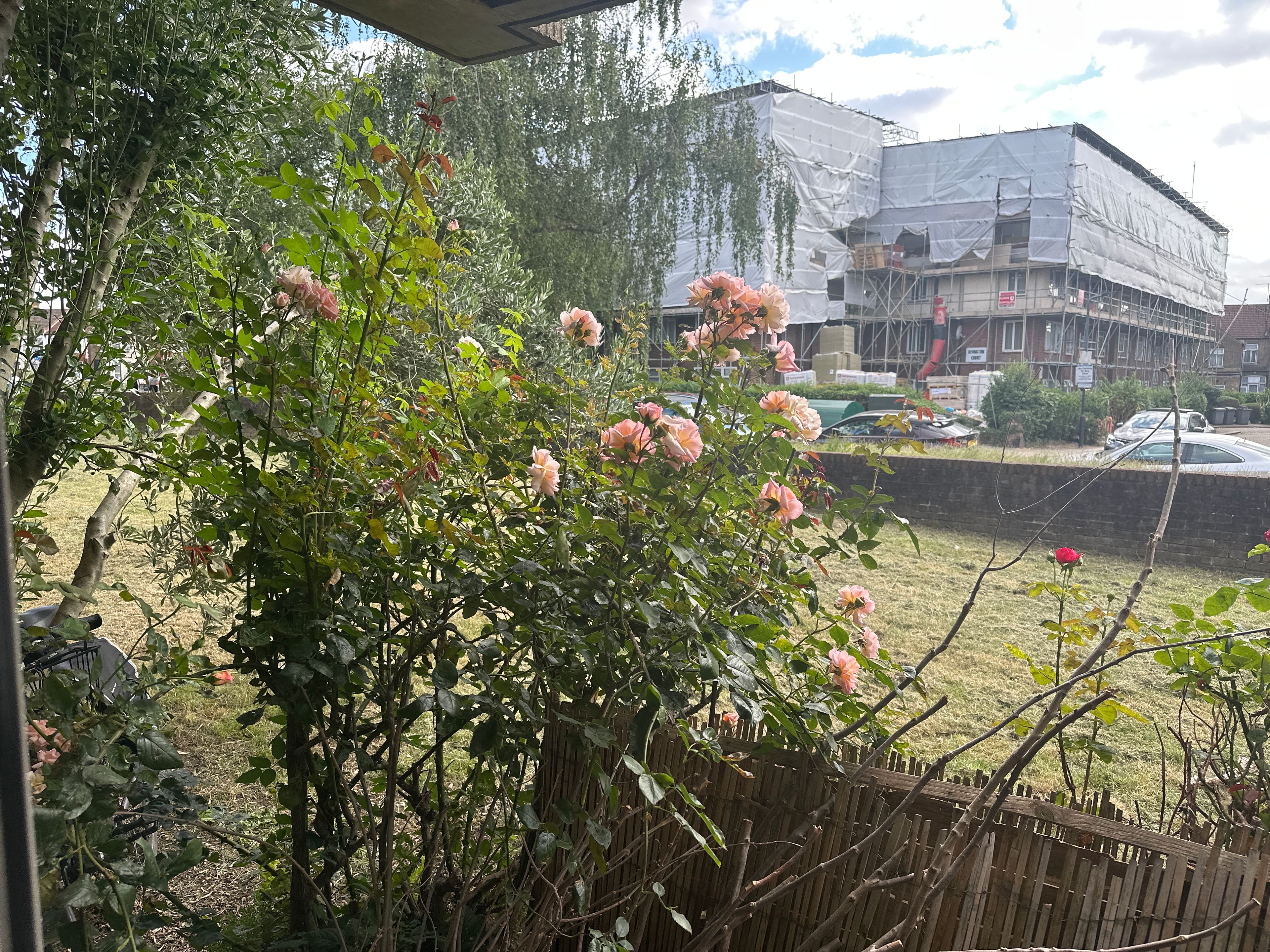 image-17