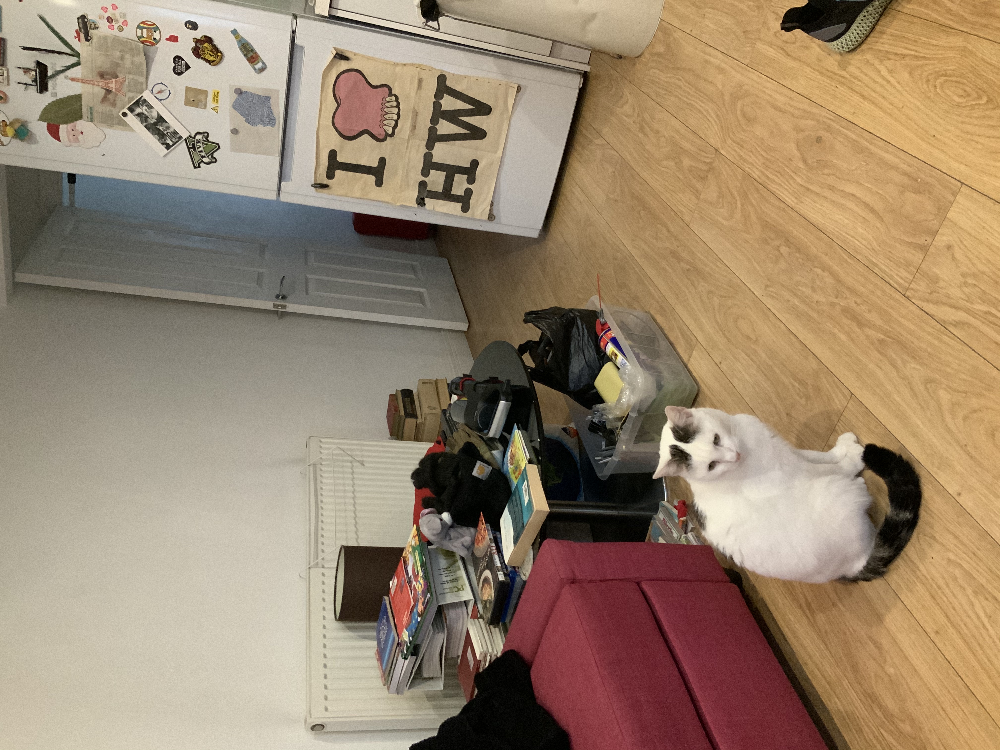 image-21