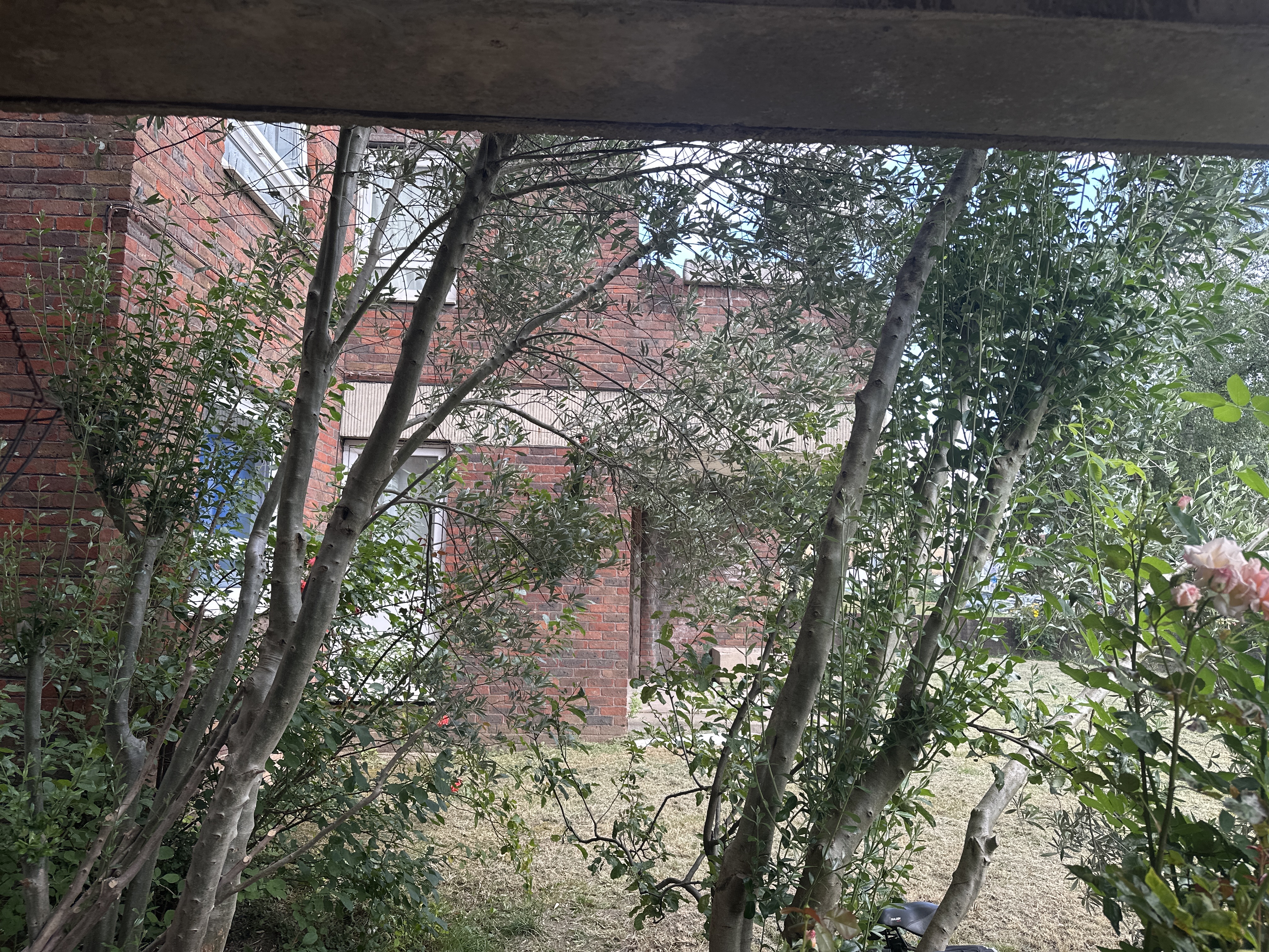 image-18