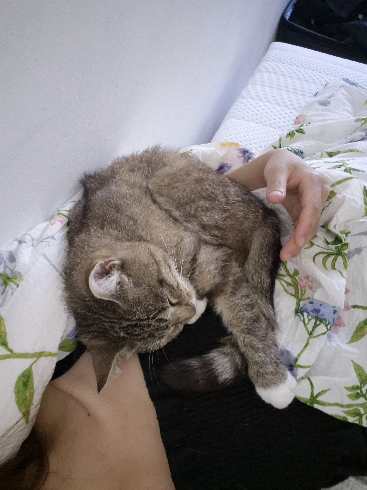 image-4