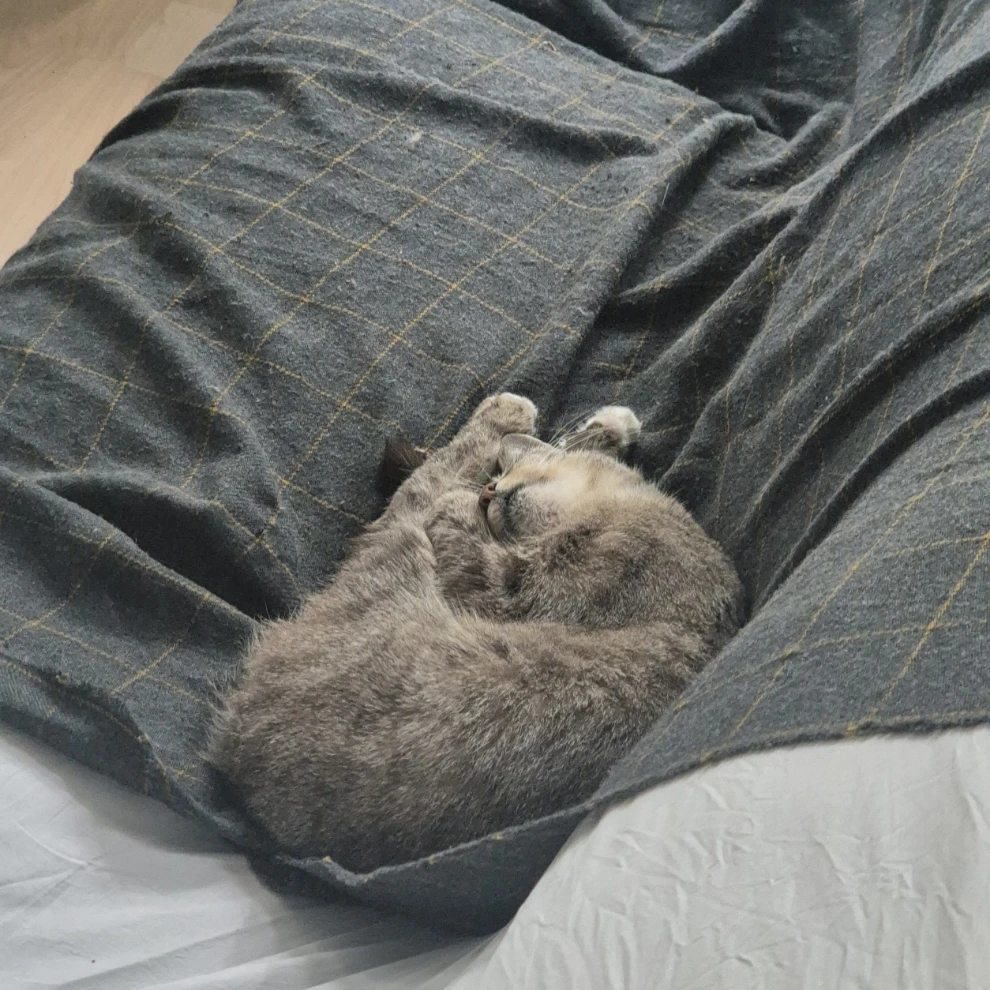 Mimi