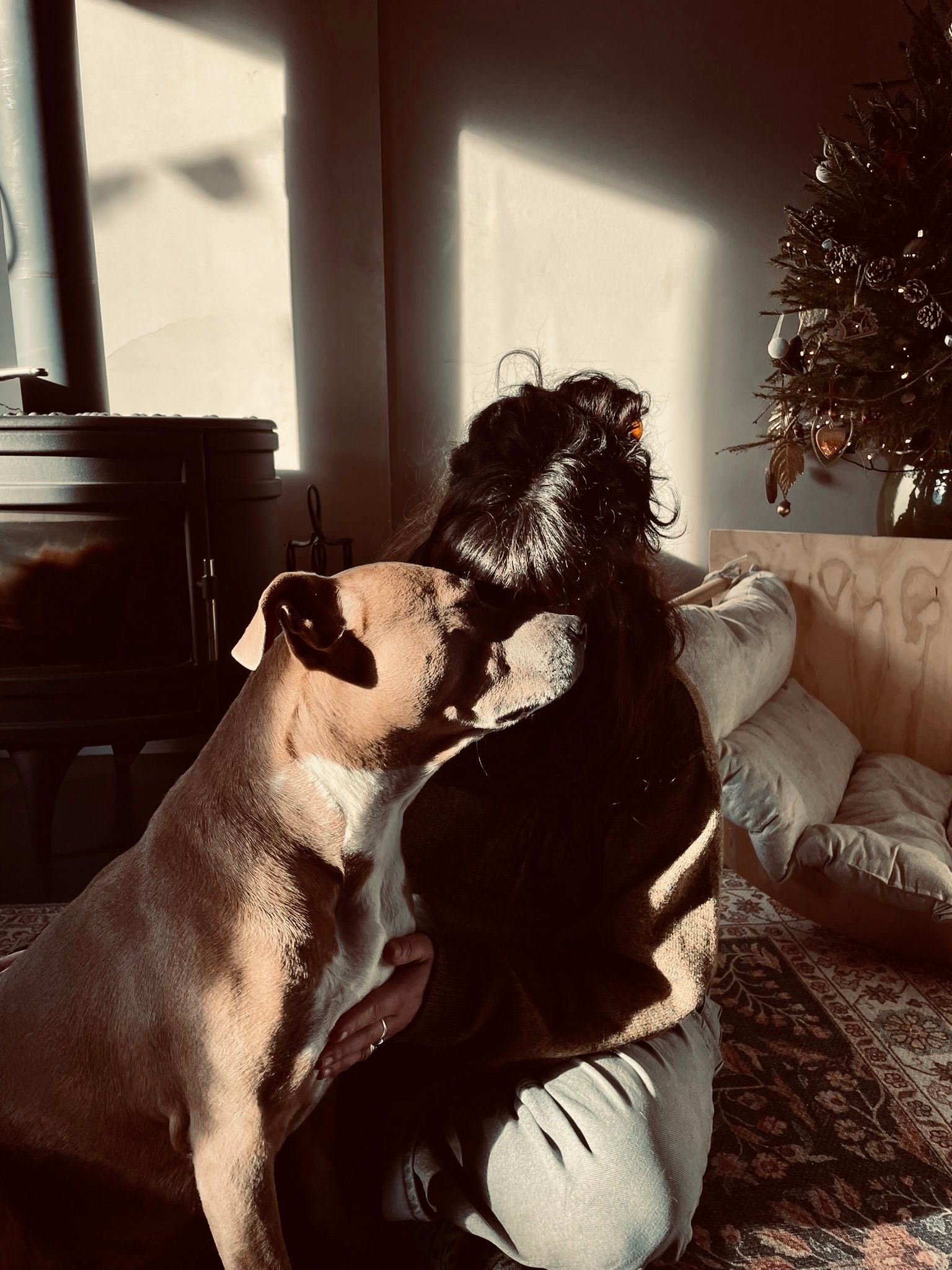 image-6