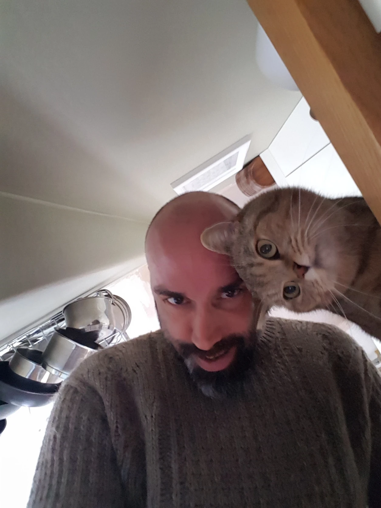 image-7