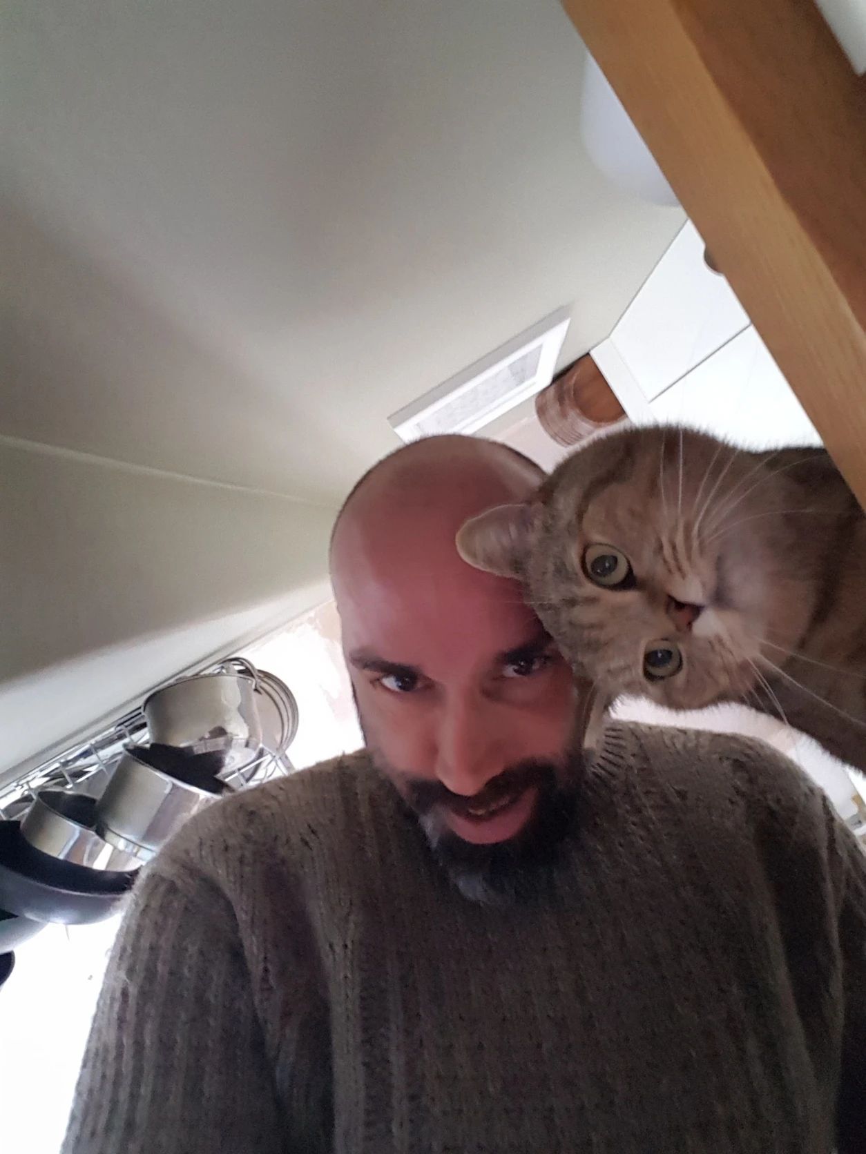 image-7