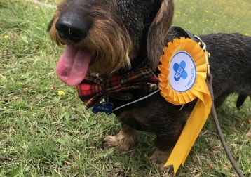 Reg