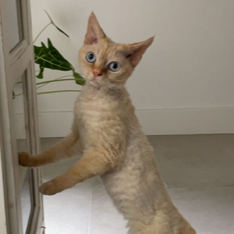 Benito