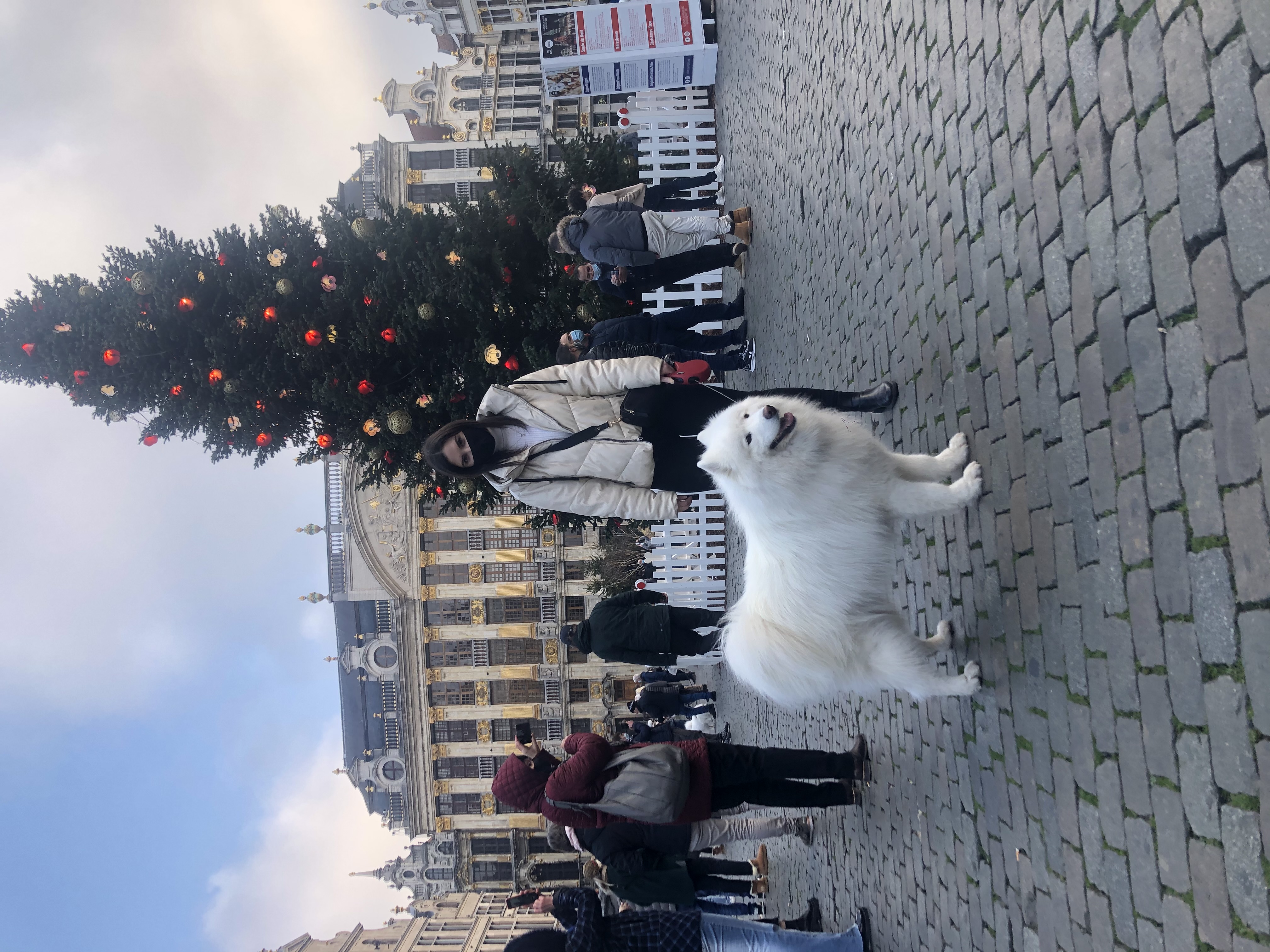 image-7