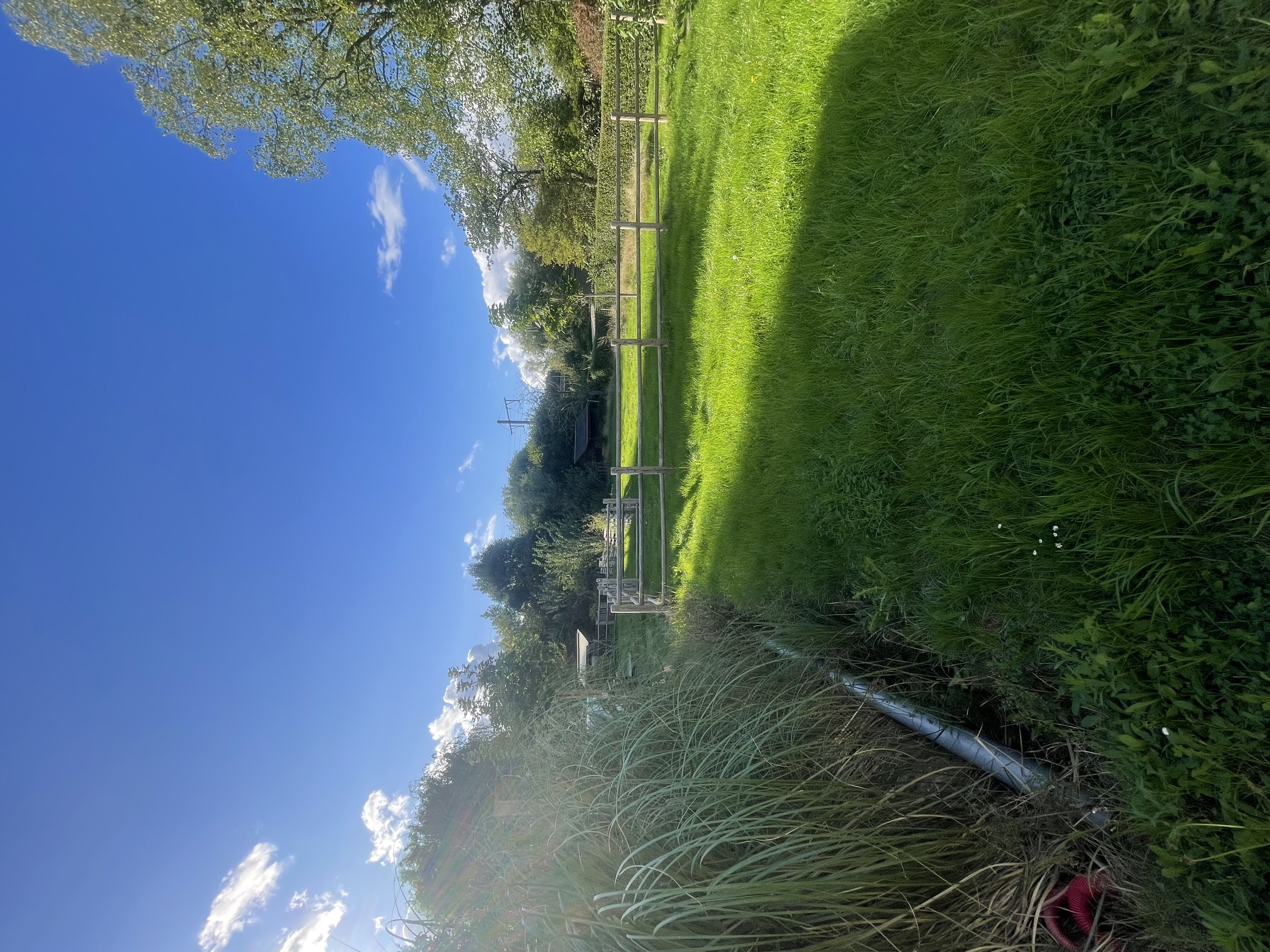 image-14